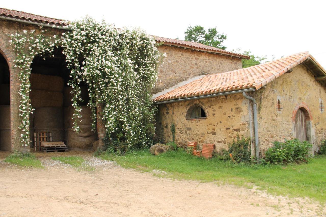 Villa Domaine des Roches Blanches Le Pin  Exterior foto