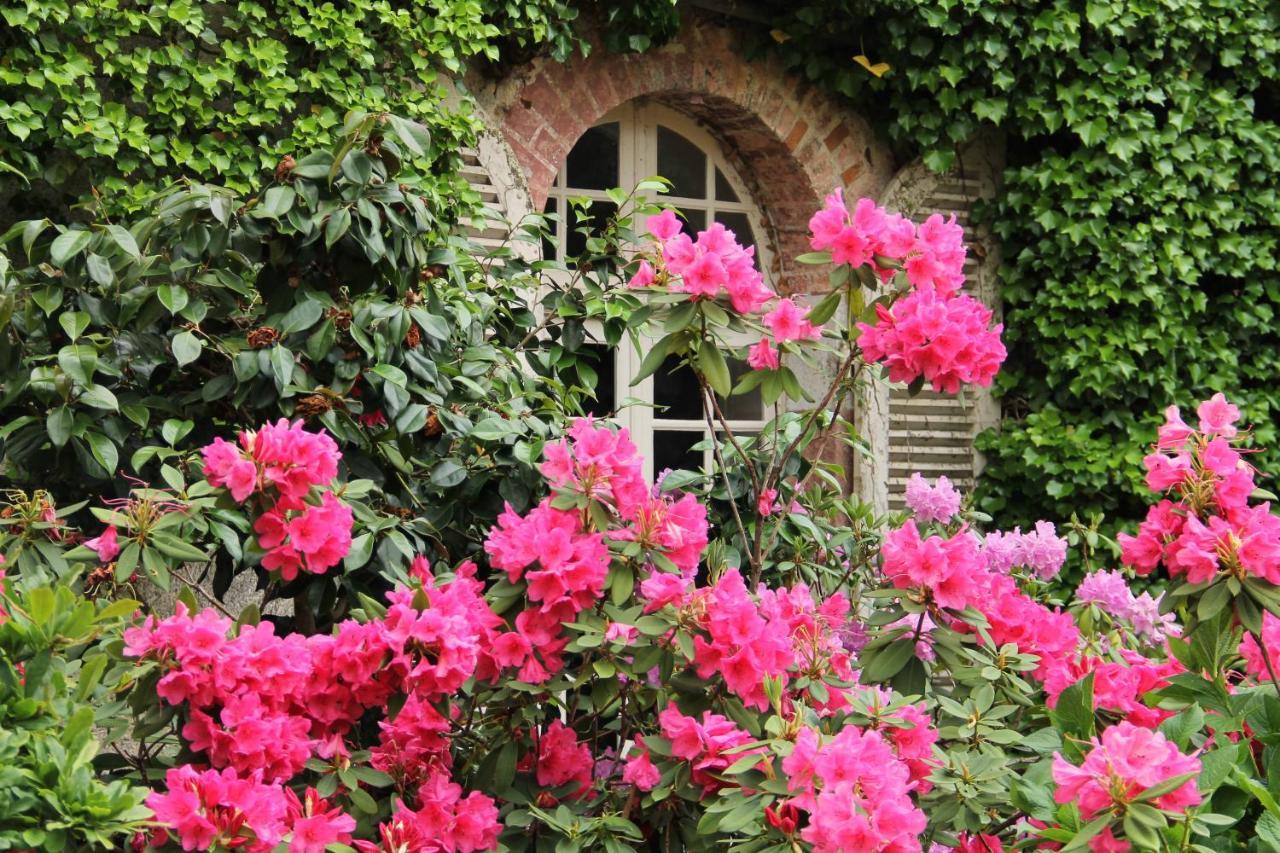 Villa Domaine des Roches Blanches Le Pin  Exterior foto