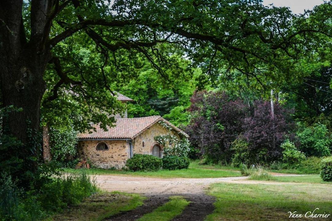 Villa Domaine des Roches Blanches Le Pin  Exterior foto