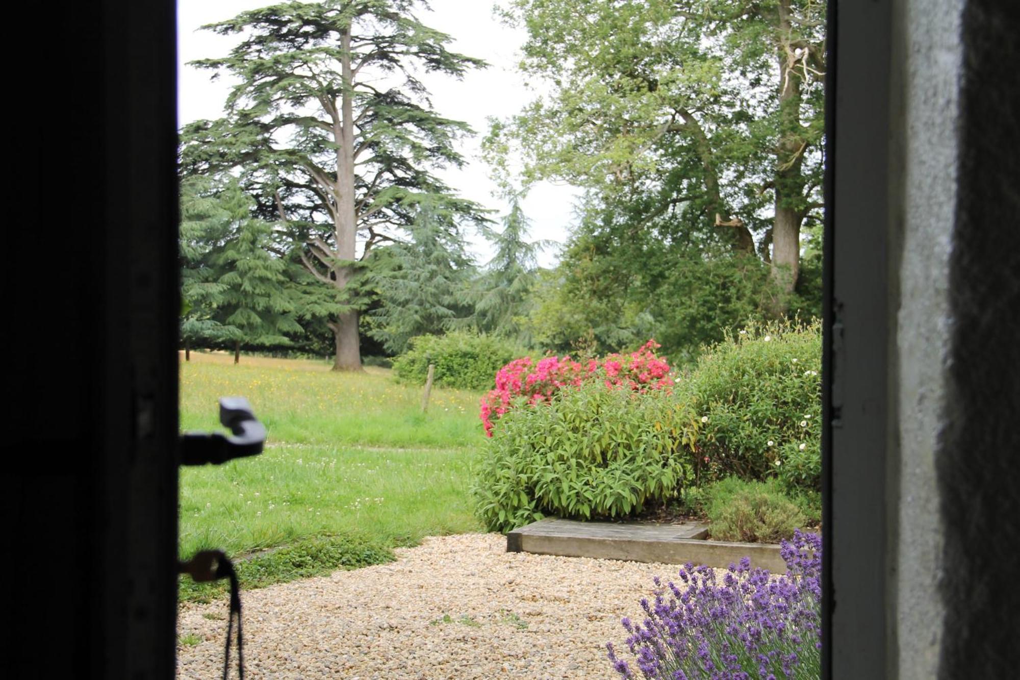 Villa Domaine des Roches Blanches Le Pin  Exterior foto
