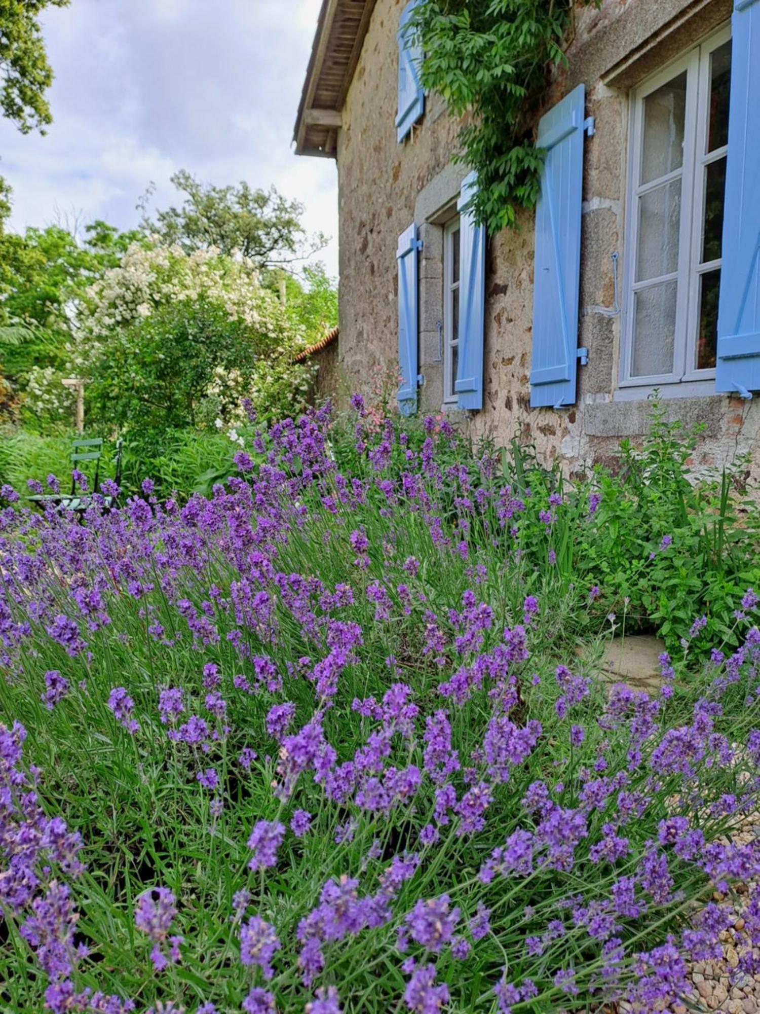 Villa Domaine des Roches Blanches Le Pin  Exterior foto