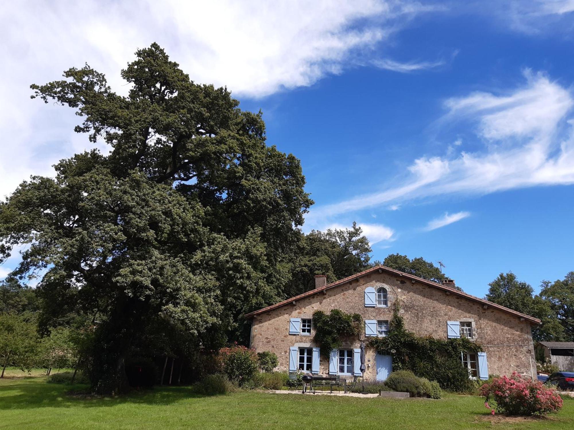 Villa Domaine des Roches Blanches Le Pin  Exterior foto