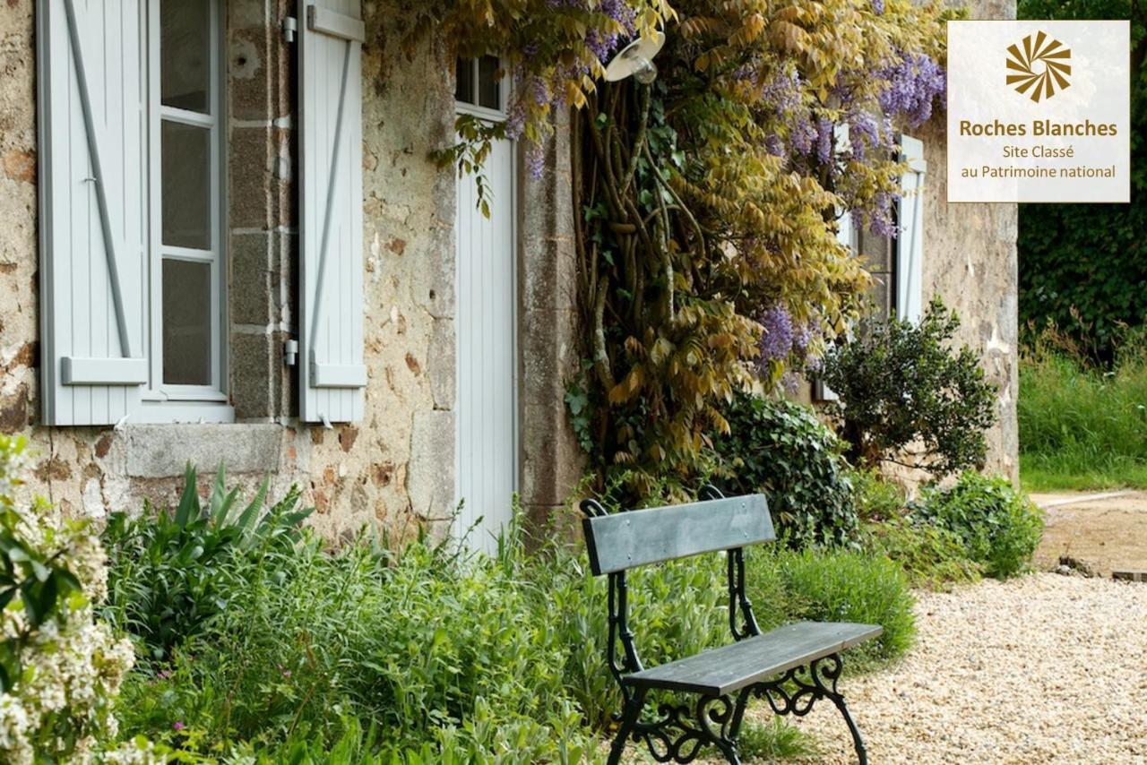 Villa Domaine des Roches Blanches Le Pin  Exterior foto